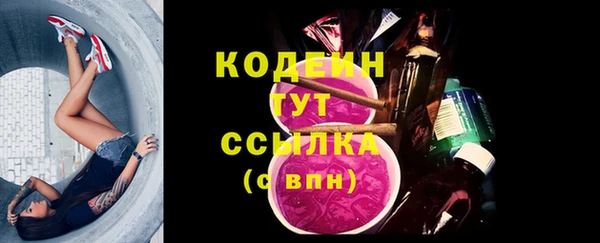mix Пересвет