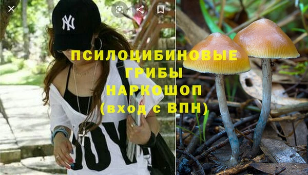 каннабис Покачи