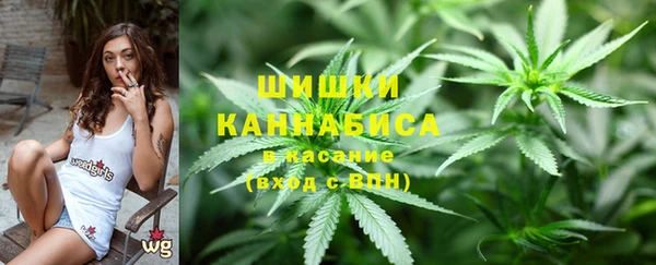каннабис Покачи
