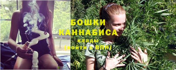 mix Пересвет