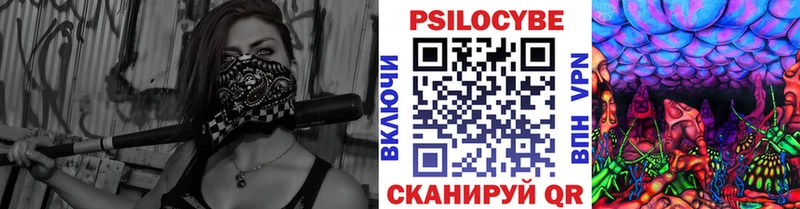 kraken вход  купить   Полярный  Псилоцибиновые грибы ЛСД 