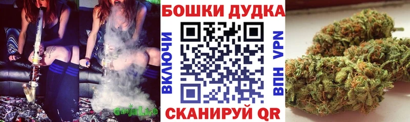 Бошки марихуана план  мега ССЫЛКА  Полярный 